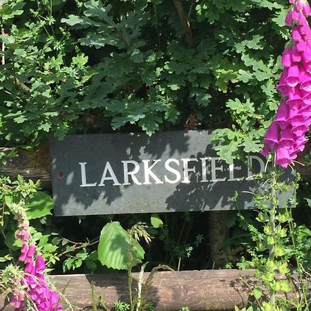 Larksfield Loft Lägenhet Okehampton Exteriör bild